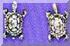 silverstuds_499t.jpg (993 bytes)