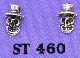 silverstuds 460.jpg (1725 bytes)
